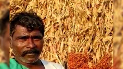 Red Corn: ರೋಗಬಾಧೆಯೇ ಇಲ್ಲದ ಕೆಂಪು ಜೋಳ ಎಲ್ಲಿ ಸಿಗುತ್ತೆ? 20 ವರ್ಷಗಳಿಂದ ...