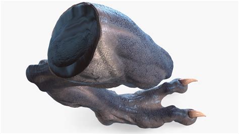 3D model Monster Creature Leg | 3D Molier International