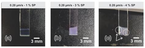 A Robust Method for the Elaboration of SiO2-Based Colloidal Crystals as ...