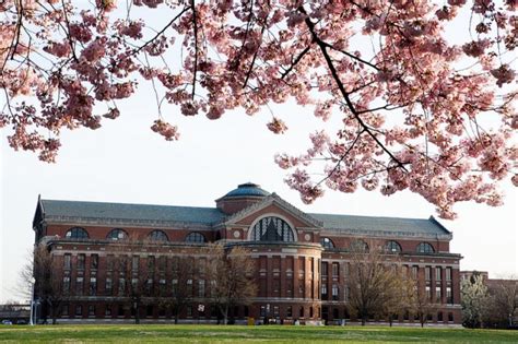 Cherry blossoms bloom on Fort McNair | Article | The United States Army