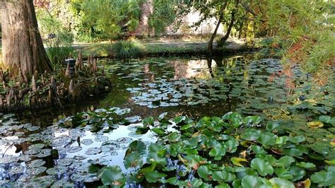 ORTO BOTANICO DI LUCCA - All You Need to Know BEFORE You Go 2026 (with ...