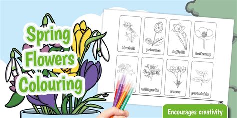 Spring Flowers Colouring Sheet
