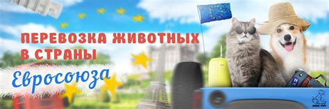 Animal Trips Ӏ Перевозка животных в Европу | Приветствуем Вас на нашей ...