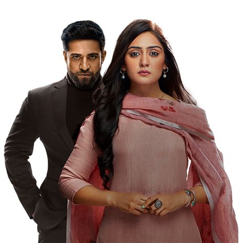 SONY SAB