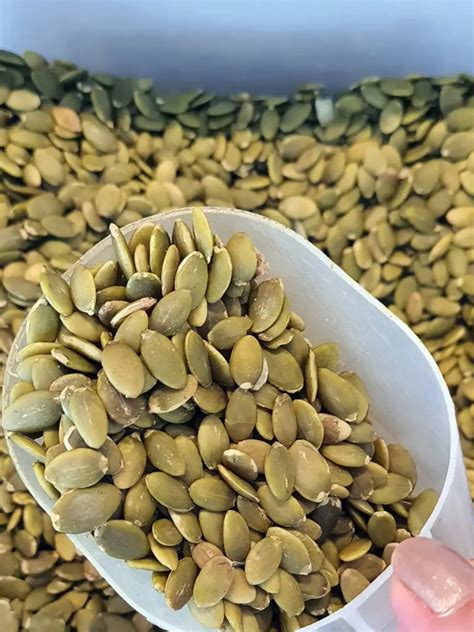 8 surprising benefits of eating just 1 teaspoon of pumpkin seeds daily ...