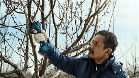 PRO Pro Pruner Cordless Secateur | Bosch Professional