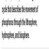what do you mean by phosphorous cycle explain it with the help of ...