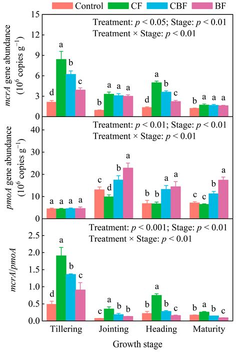 Biochar-Based Fertilization Mitigates CH4 Emissions Without Yield ...
