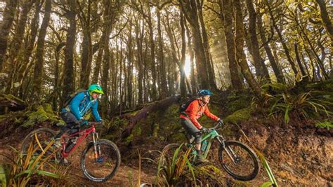 DOC Paparoa National Park Visitor Centre | Visitor Information Centres ...