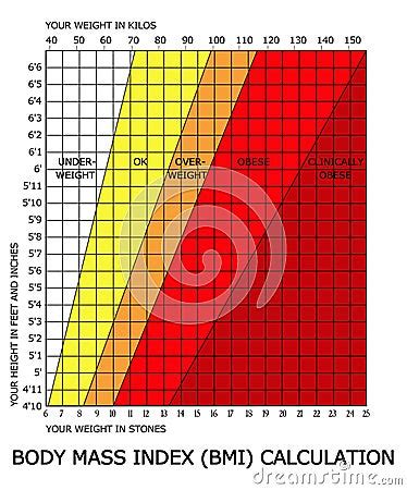 Body Mass Index Calculator « rydydy97