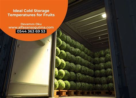 Cold Storage Temperatures for Fruits | Alfasan Cooling
