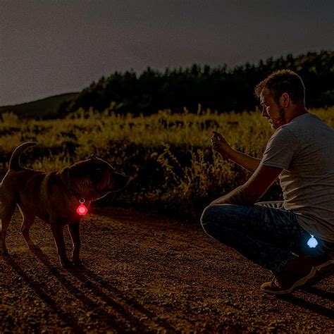 Buy NOVKIN 2-Pack Dog Light with USB Rechargeable, Color Changing Dog ...