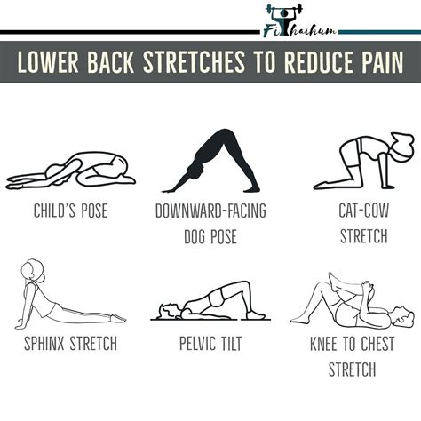 Image result for Lower Back Stretching Exercises