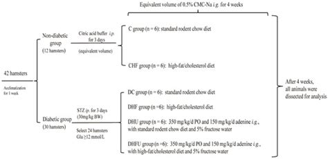 Evaluation of the Effects of High Uric Acid on Glucolipid Metabolism ...