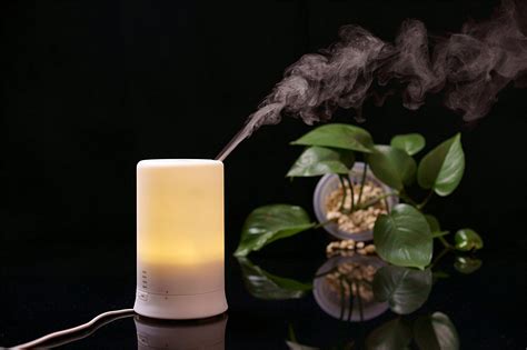 Pure Source India Ultrasonic Diffuser and Humidifier, 100 ml Silent ...