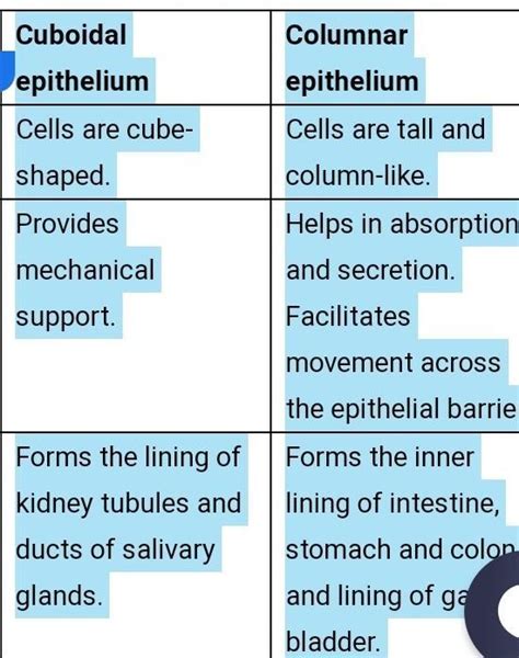 the difference between cuboidal columnar epithelium - Brainly.in