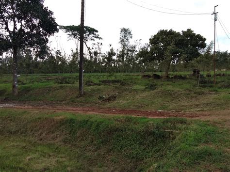 the woods Sports & Cultural Club - The Woods Sakaleshpura -Karnataka