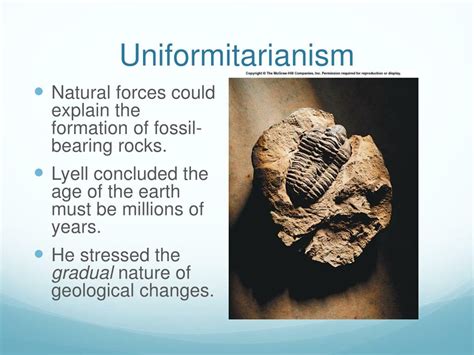 Image result for Uniformitarianism Fossil Examples