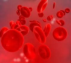 ERYTHROCYTE IN ANIMALS (drvet.in)