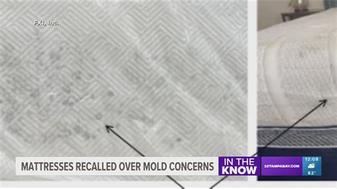 Costco mattresses recalled over mold risk | wtsp.com