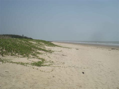 West Bengal Biodiversity Board