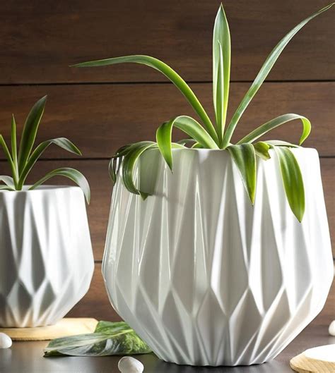 Precious Horcrux Planter — Plan A Plant