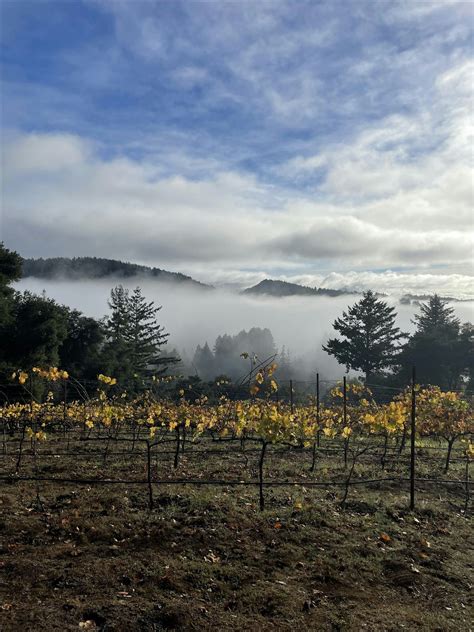 Wine Tasting and Crushpad Concert at Roberts Ranch, Roberts Ranch ...