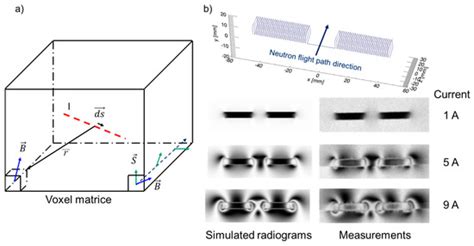 Imaging with Polarized Neutrons
