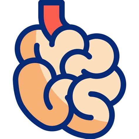 Small intestine - Free healthcare and medical icons