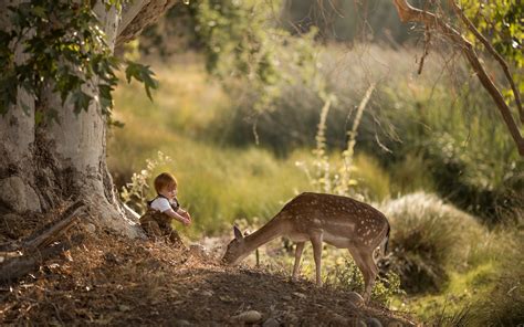 壁纸 儿童男孩和鹿在森林里 1920x1200 HD 高清壁纸, 图片, 照片