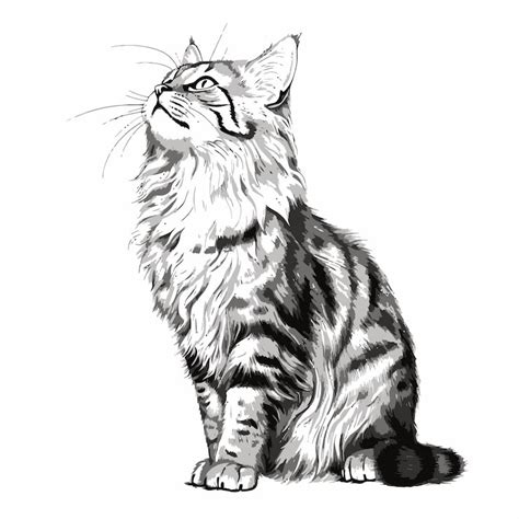 Cat drawing png Images - Free Download on Freepik