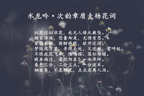 缅怀宋朝文坛领袖苏轼，他这8首诗词，你读过哪几个？__凤凰网