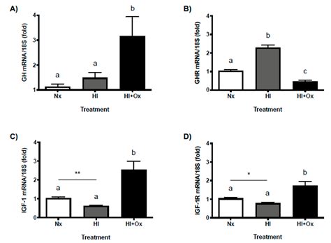 Neuroprotective Effects of Growth Hormone (GH) and Insulin-Like Growth ...
