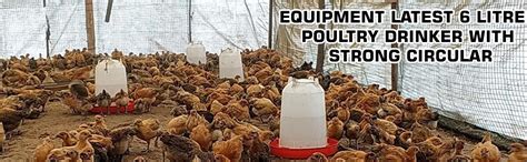 Praish Advanced Poultry Equipment Latest 6 litres Poultry Drinker with ...