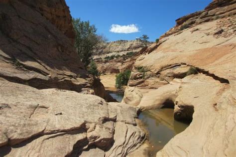 Hondoo Rivers and Trails (Torrey) - 2022 What to Know Before You Go ...