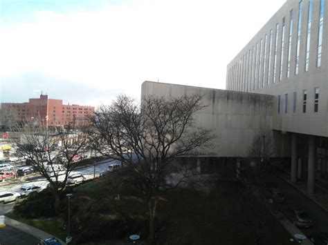 Albert Einstein College of Medicine Office Photos