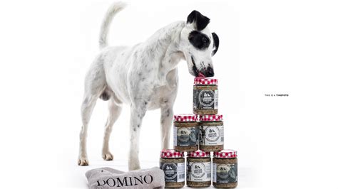 Download wallpaper each, food, dog, section dog in resolution 1920x1080