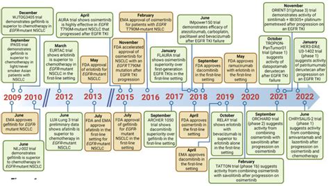 Treatment Strategies for Non-Small Cell Lung Cancer with Common EGFR ...