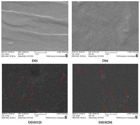 Hydrogels of Poly(2-hydroxyethyl methacrylate) and Poly(N,N ...