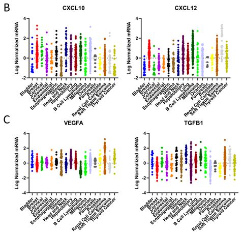 Targeting Cytokines and Their Pathways for the Treatment of Cancer