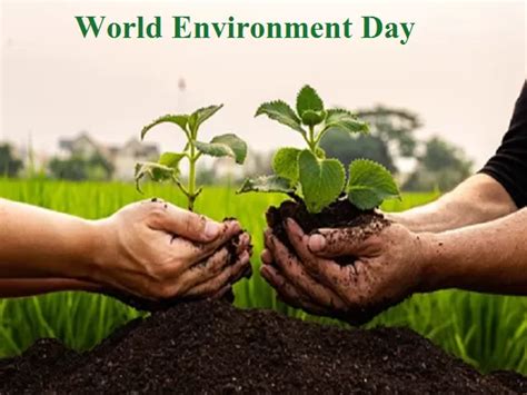 World Environment Day 2023: Theme, History, Significance and Host Country