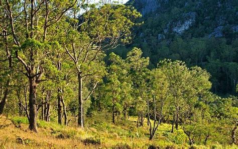 HOMESTAY LOPO MUTIS (Soe) - Lodge Reviews & Photos - Tripadvisor
