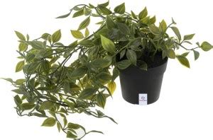 Heart Home Bonsai Wild Artificial Plant with Pot Price in India - Buy ...