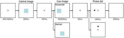 Attention Dynamics in Spatial–Temporal Contexts