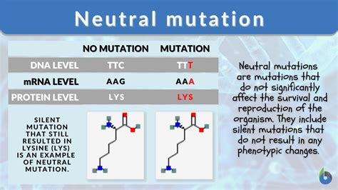 Mutation Evolution Examples 的图像结果