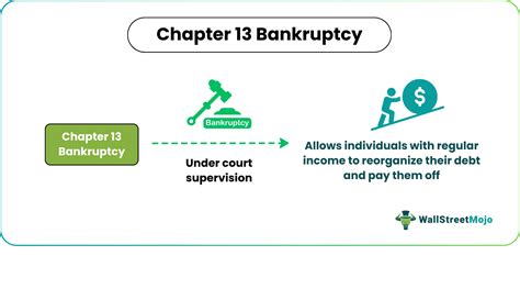 Chapter 13 Bankruptcy - Definition, Examples, Requirements