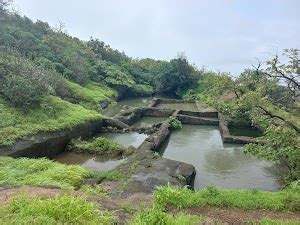 What to see in Palghar (Updated Nov 2025)