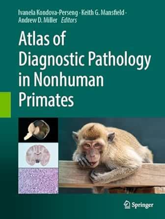 Atlas of Diagnostic Pathology in Nonhuman Primates eBook : Kondova ...