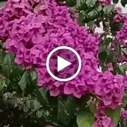 Best Top Rated Ashram in Vagamon, Kerala, India | Yappe.in