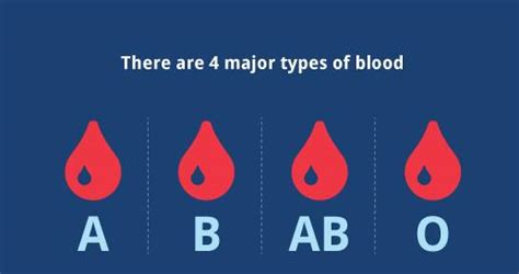 O型血的人與什麼血型的人生孩子會更聰明？O型血有哪些優勢？ - 每日頭條